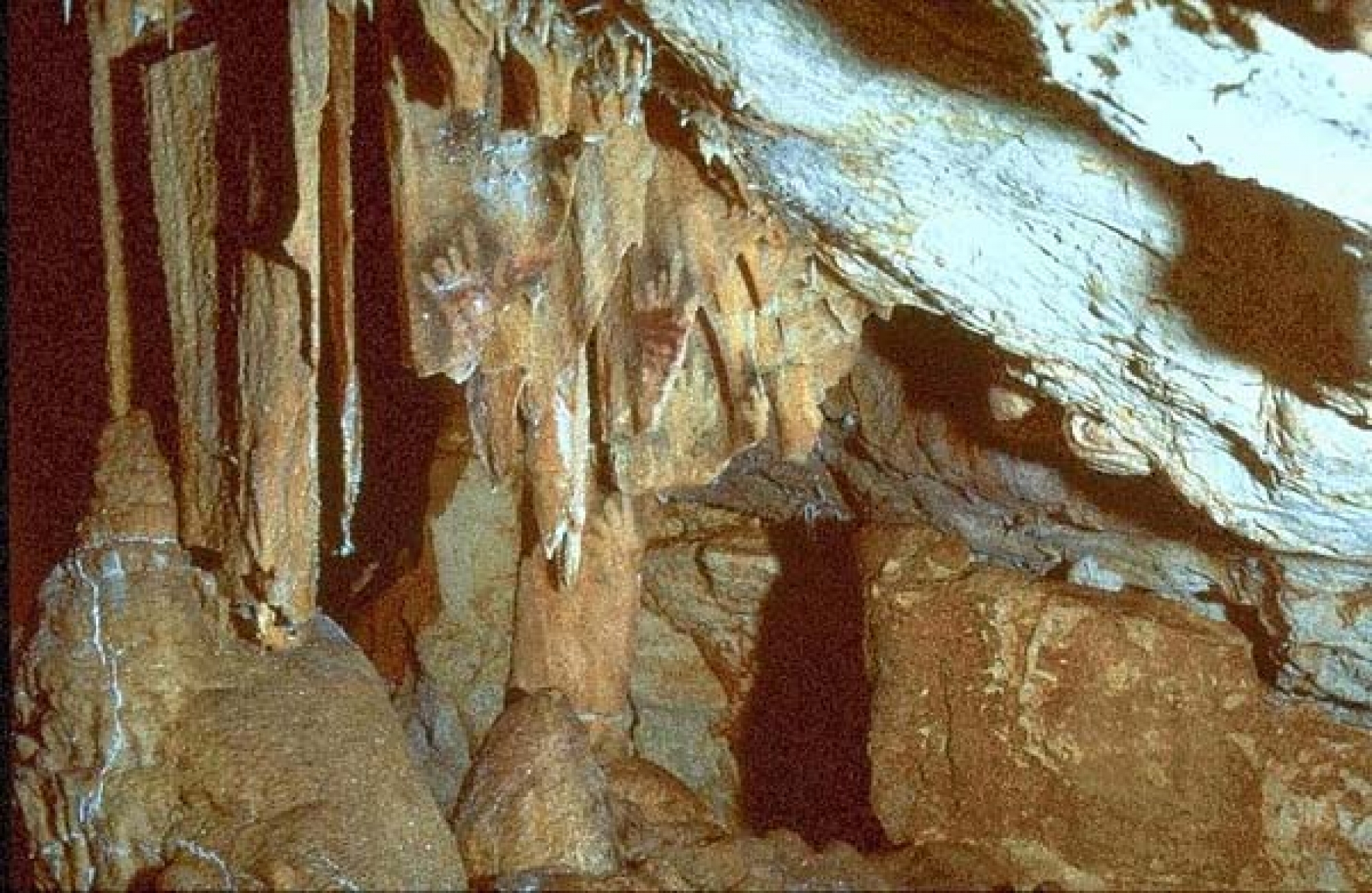 La Grotte Cosquer en Provence, et ses Peintures de Mains 
