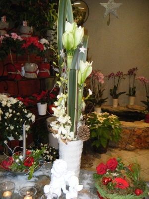Cassis Flor, pour faire plaisir avec des fleurs ...