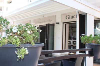 La Brasserie De La Plage, pour une pause gourmande sur une terrasse ombragée du port de Cassis